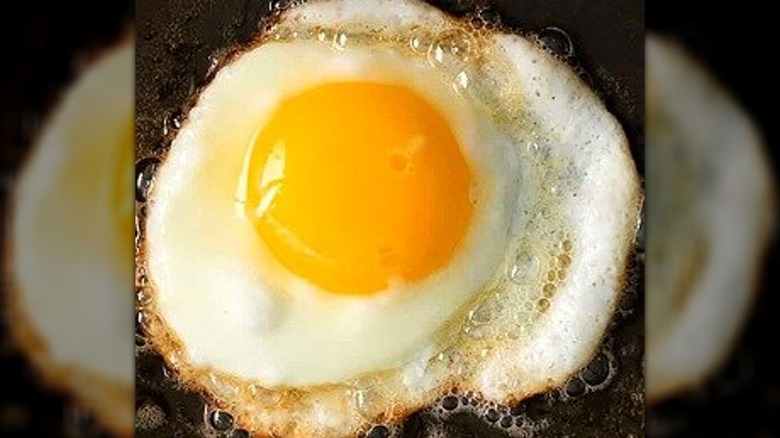 egg frying close up 