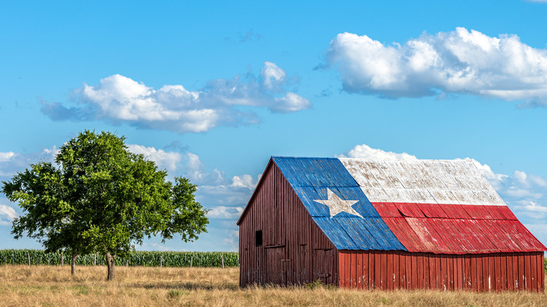 flag of Texas on barn