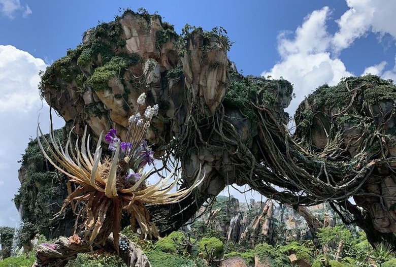 Flight of Passage, Animal Kingdom