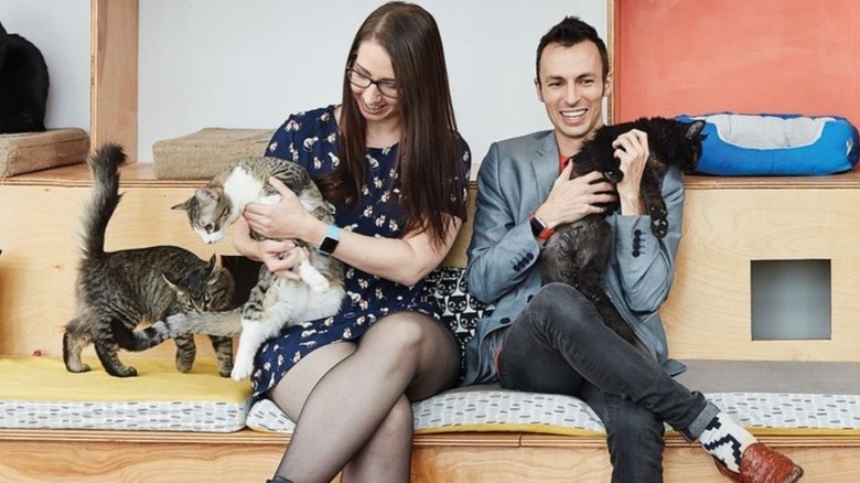 Couple playing with cats
