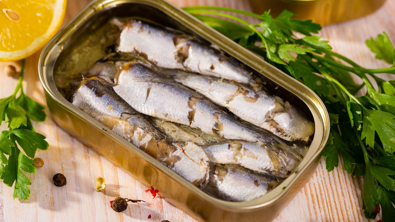 Tin of sardines