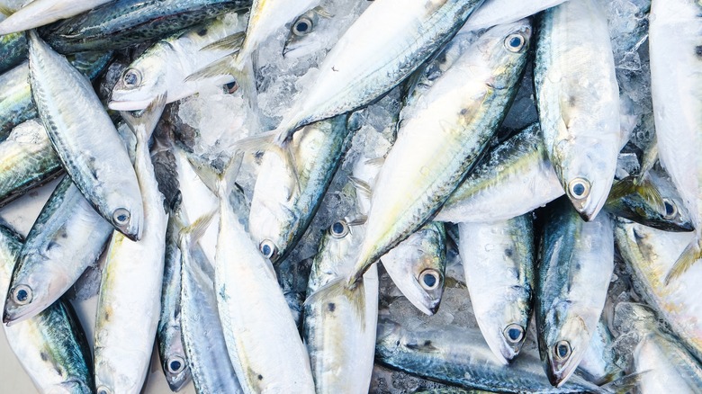 fresh tuna in fish market