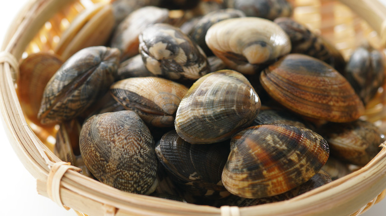 Manila clams in a basket