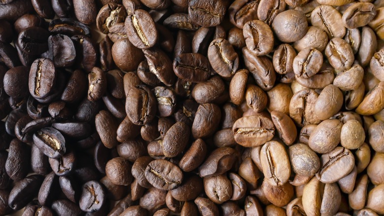 Different stages of coffee roasting