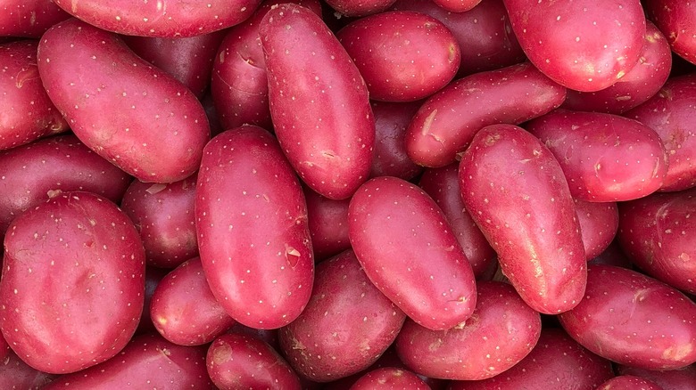Red fingerling potatoes