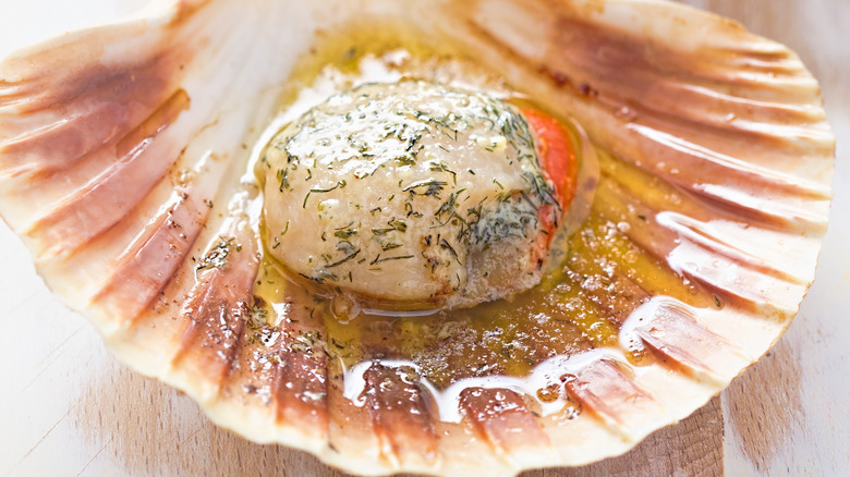 Scallop with herb butter