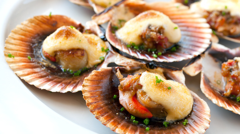 Roasted scallops on shells