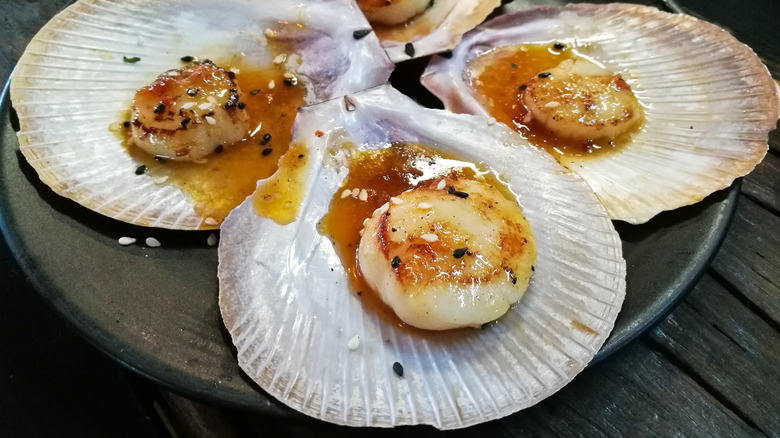 Tasmanian scallops with sauce