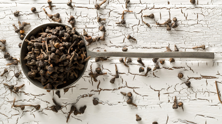 Dried cinnamon buds in spoon