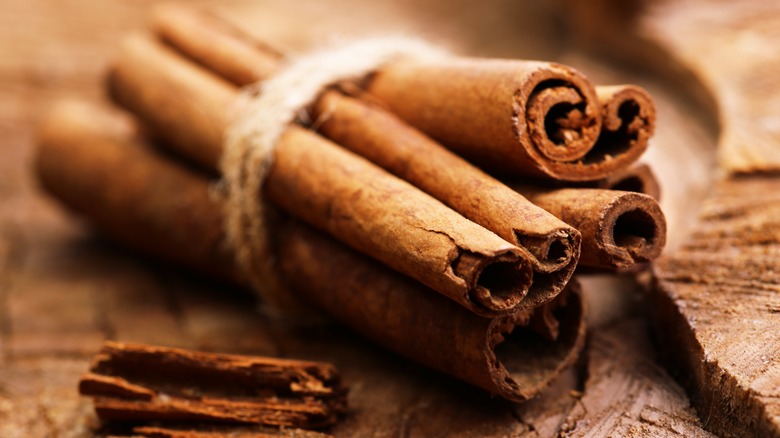 Bundle of cinnamon sticks