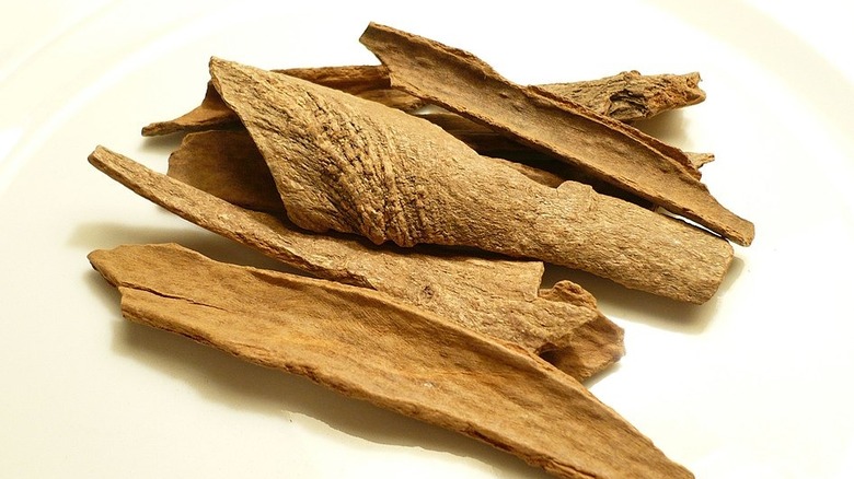 Chips of of Saigon Cinnamon