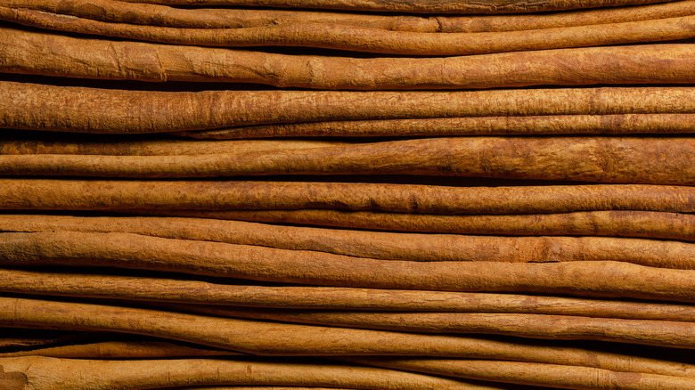 True cinnamon sticks