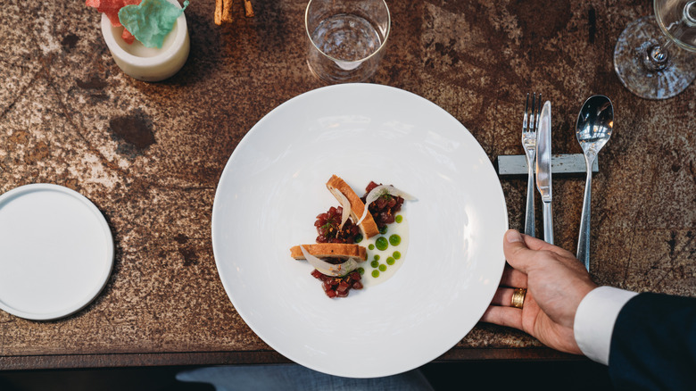 Waiter serving high end meal