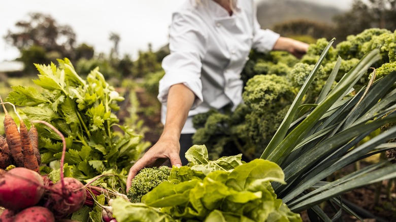 Person picking farm fresh vegetables