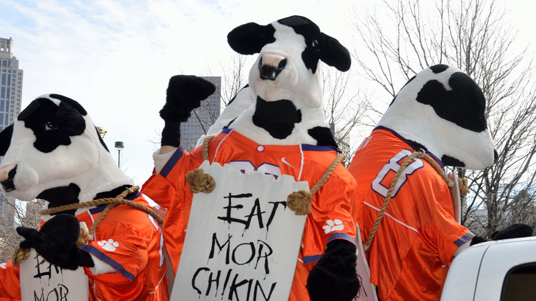 chick-fil-a cows