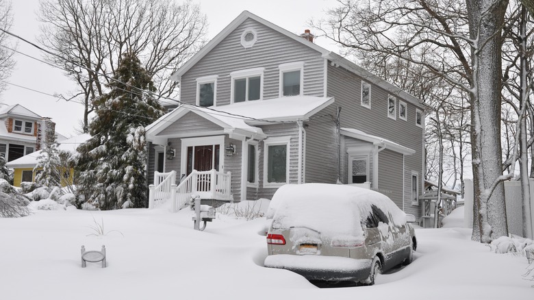 house and property covered in snow