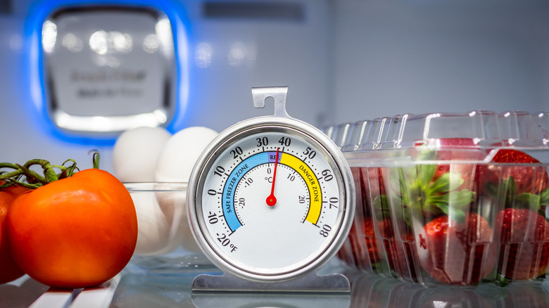 thermometer in refrigerator