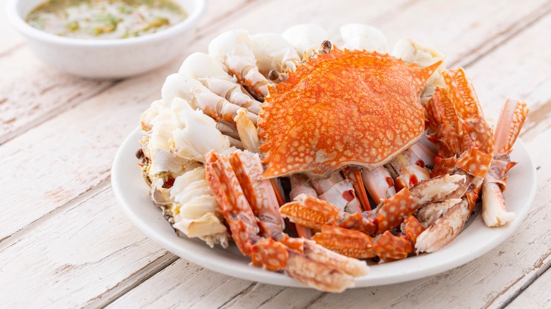 Cooked crab on plate