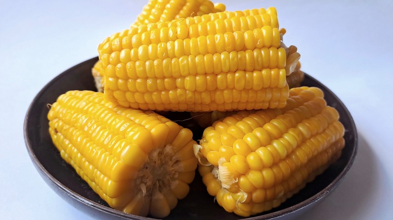 Cooked corn on the cob