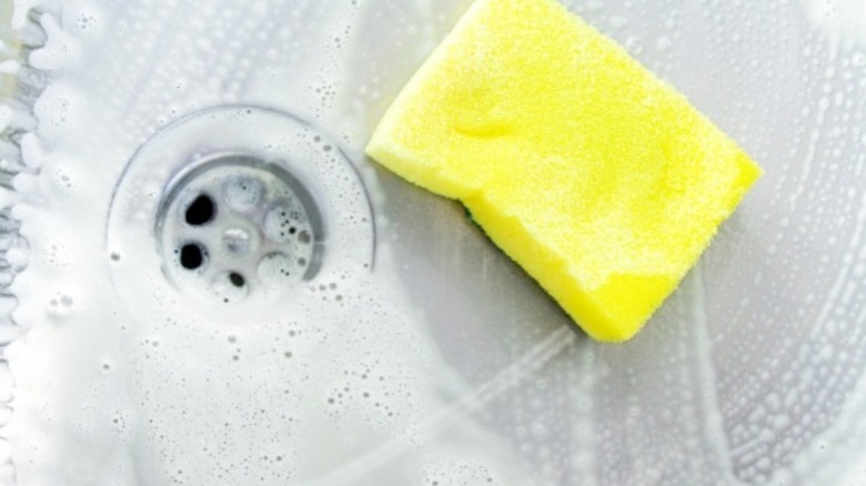 suds and sponge in sink