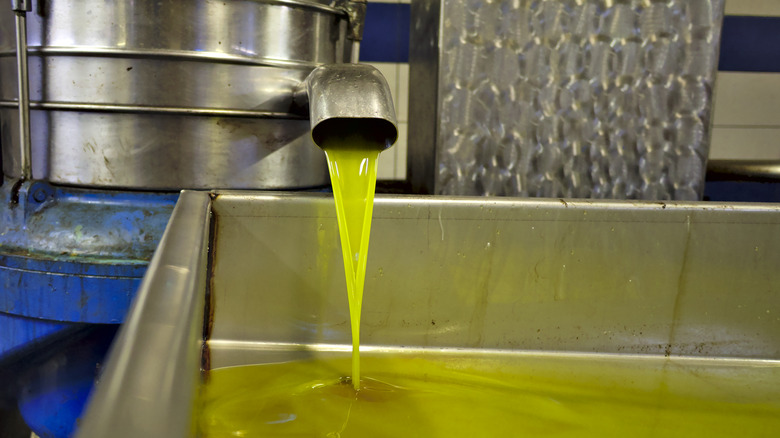 olive oil pouring from machine