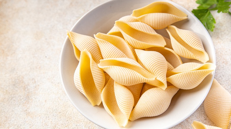 Bowl of conchiglie pasta