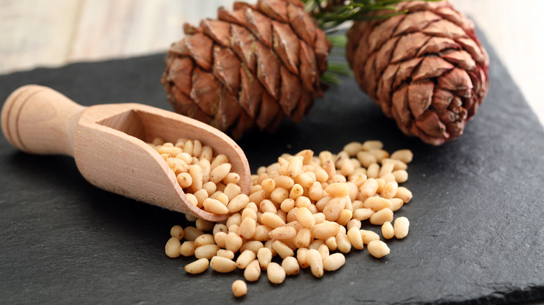 Pine nuts and pine cones