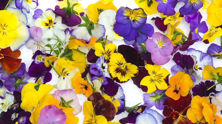 Colorful edible flowers