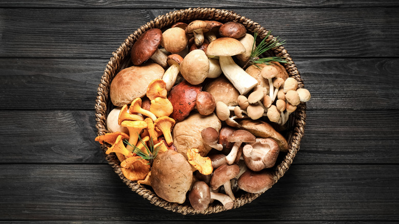 Wild mushrooms in basket