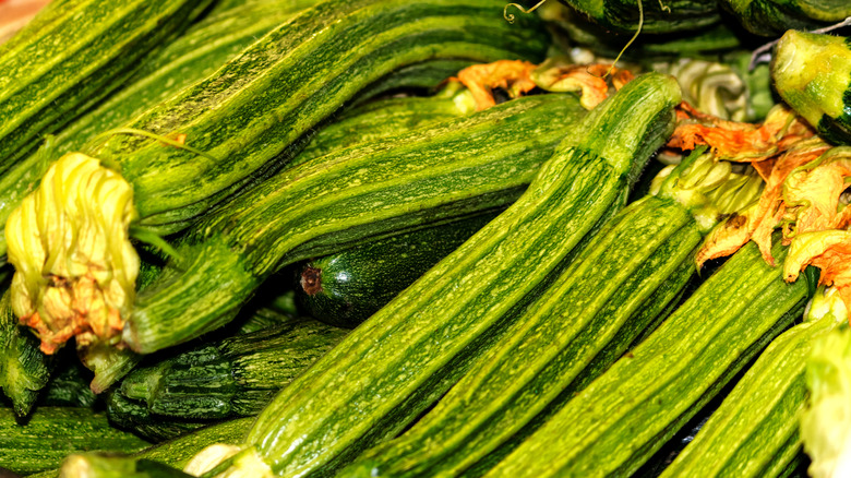 Costata Romanesco squash