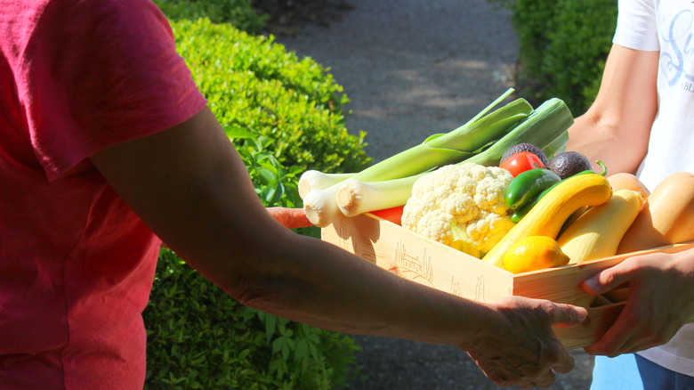 Produce tray with yellow squash