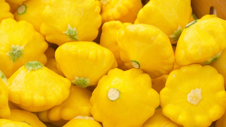 Pile of several pattypan squash