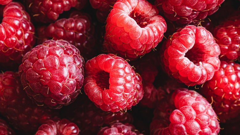 Fresh raspberries