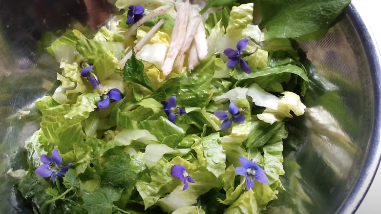 Salad with wild violet flowers