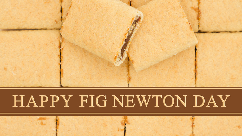 National fig newton day
