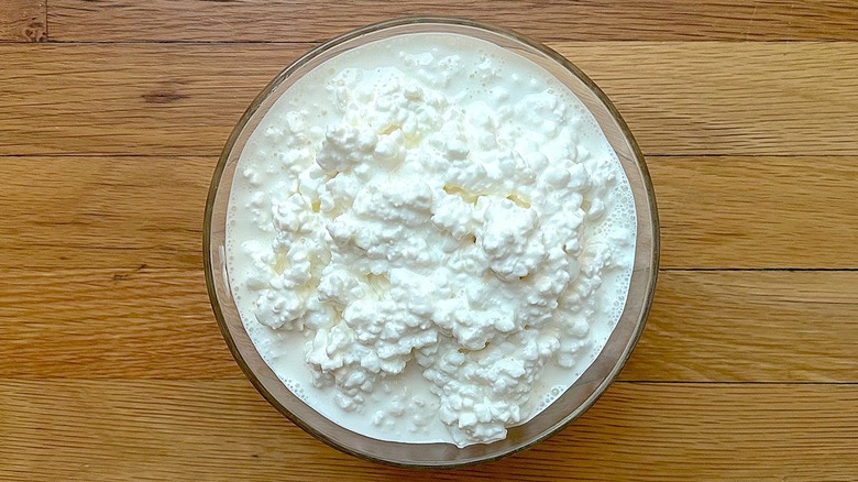 Kalona SuperNatural organic cottage cheese