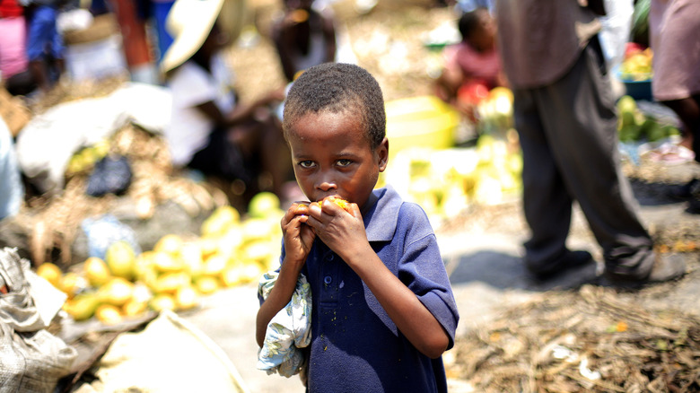 The UN Is Cutting Food Aid To Haiti By A Whopping 25%