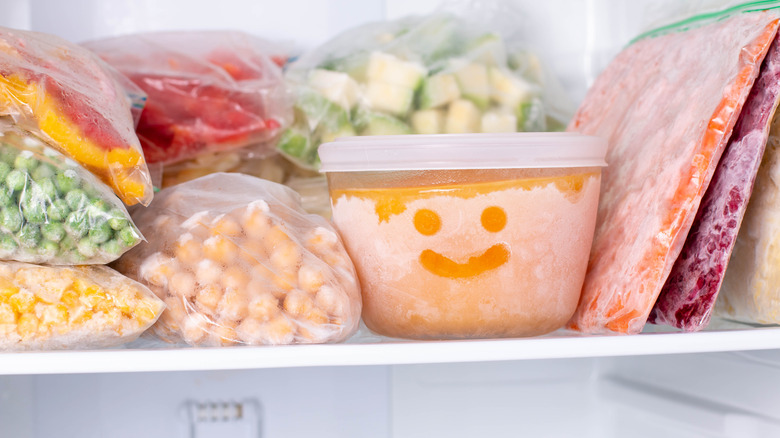 A freezer stocked with food in bags and containers