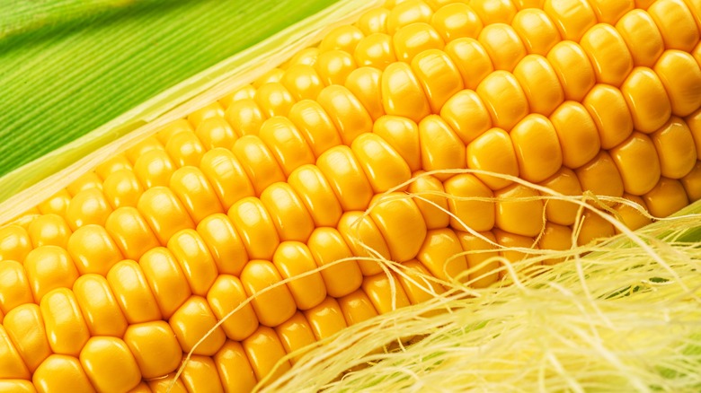 Cob of corn with silk