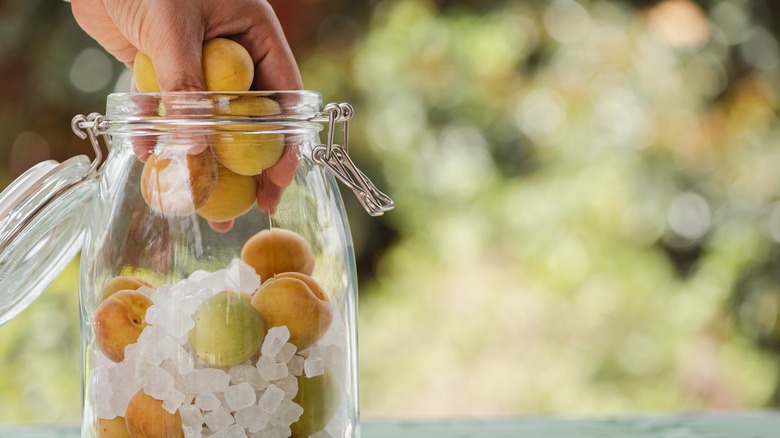 plums in jar with large salt grains