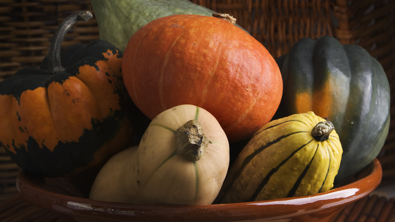 Six winter squashes in bowl