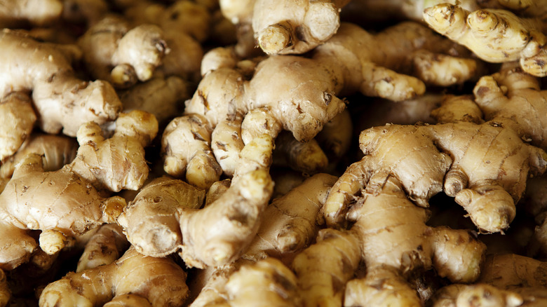 Pile of ginger roots