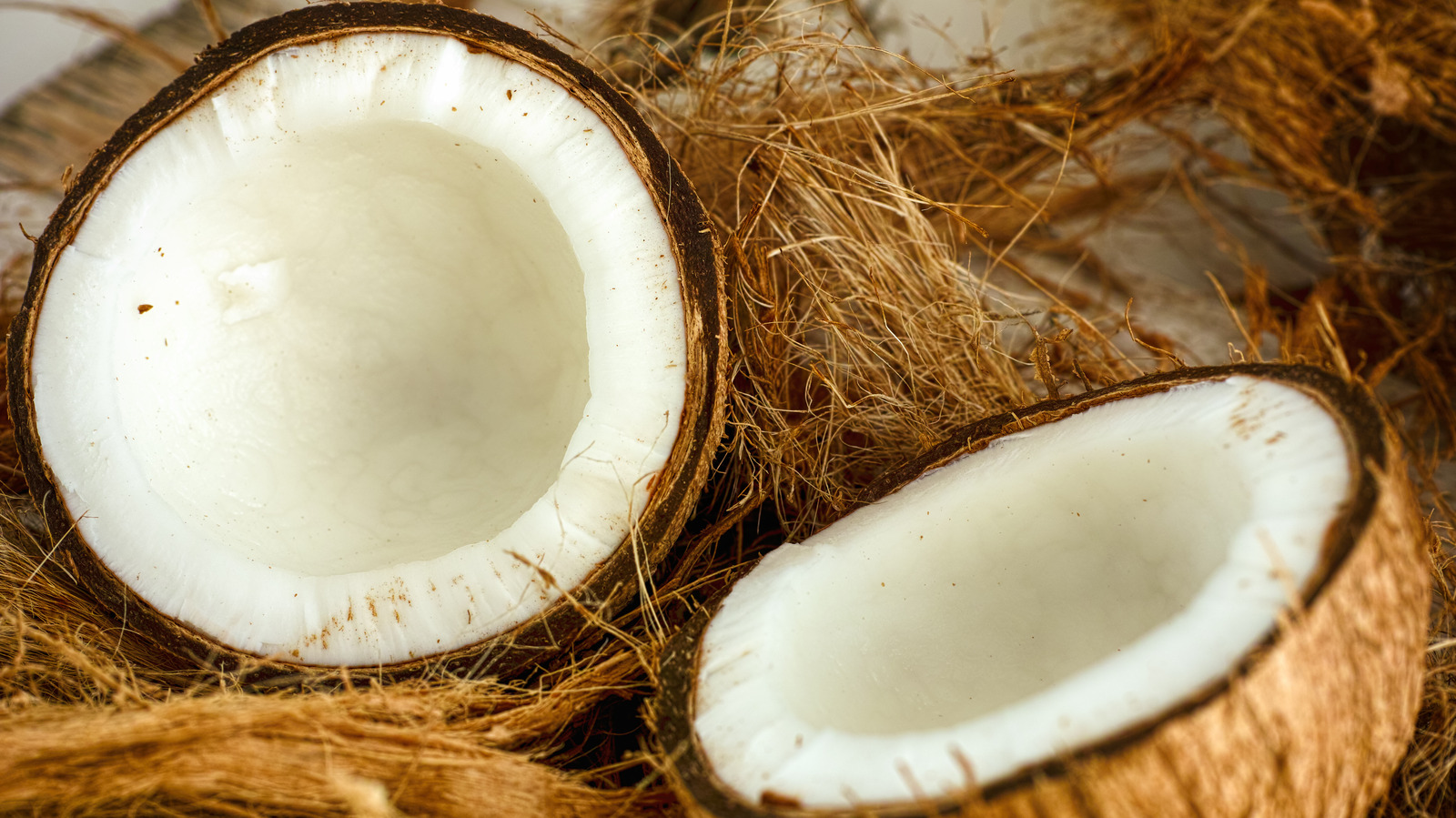 The Unexpected Tool To Use When Removing A Coconut Husk