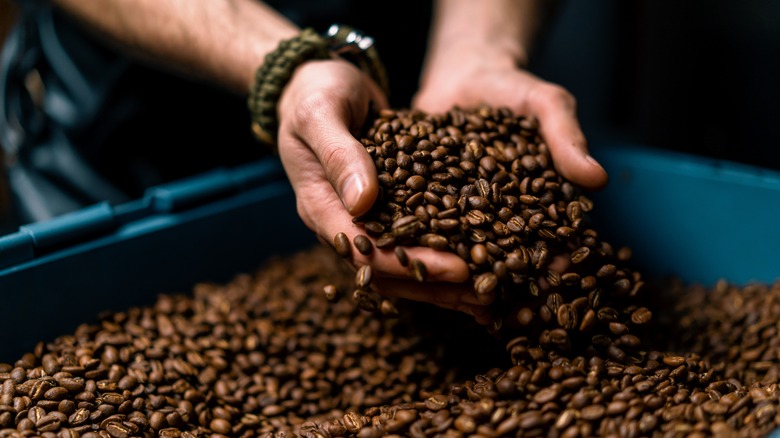 hands sifting through bin of coffee beans