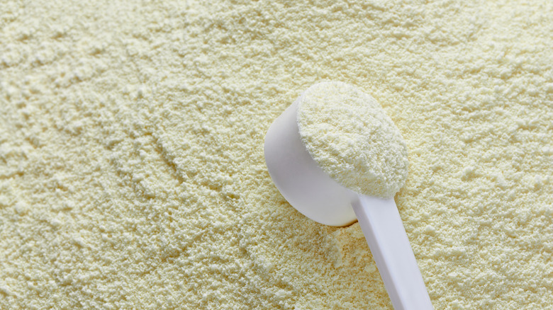 closeup of powdered milk with scoop