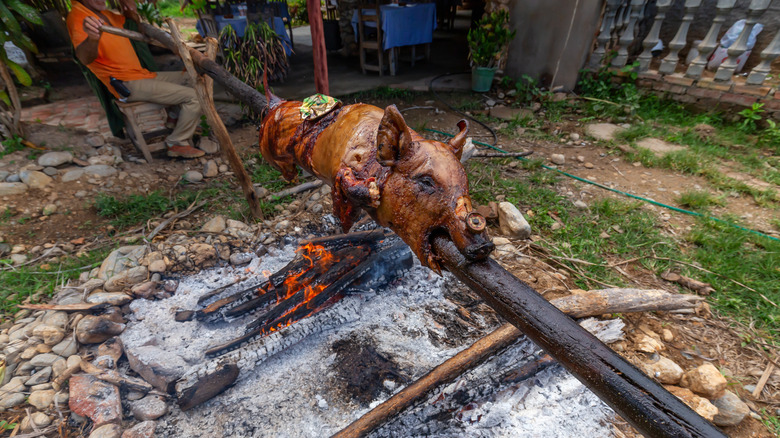 Whole hog roasting