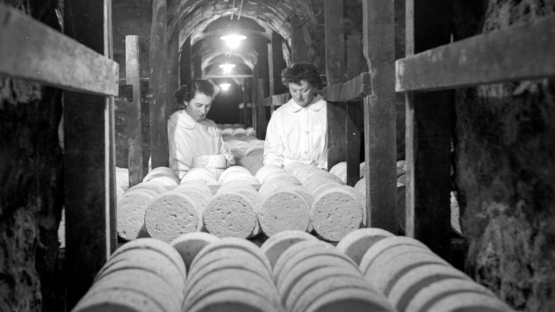 women working in cheese cave