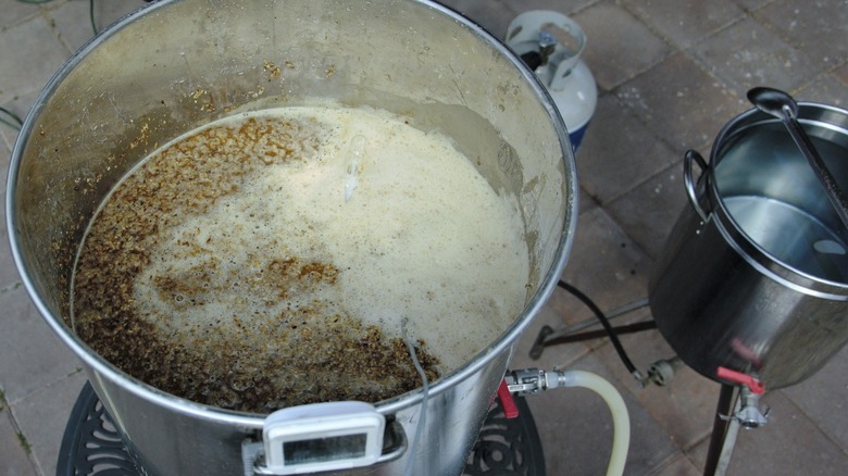 Brew system with grain mash