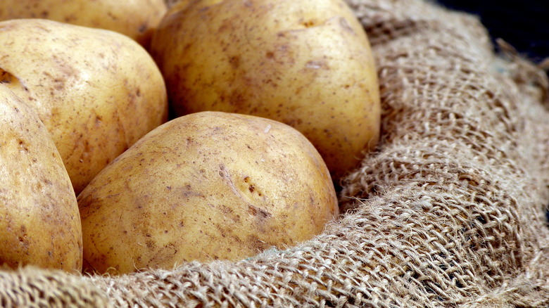 Potatoes in burlap sack