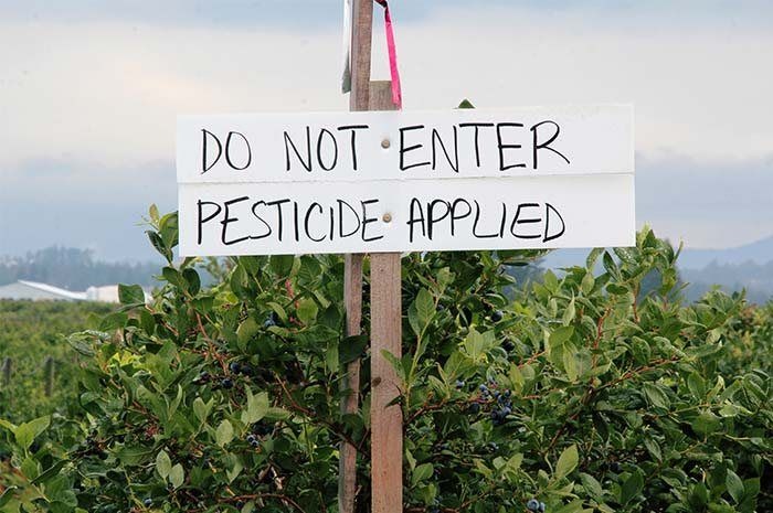 Pesticide Residue